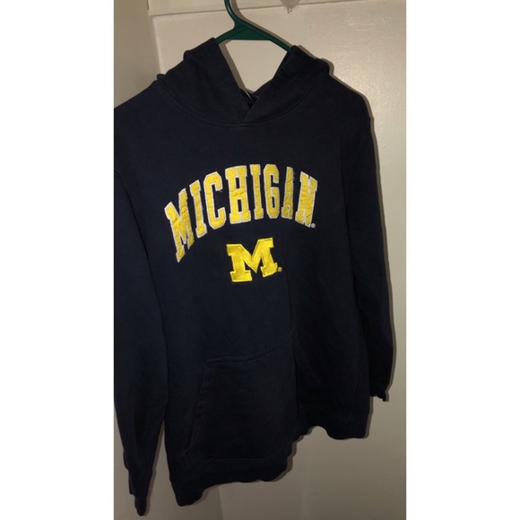 Other - Michigan Hoodie
